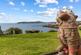 Additional image 35 of 12, Majestic Drive, Onchan, Isle of Man