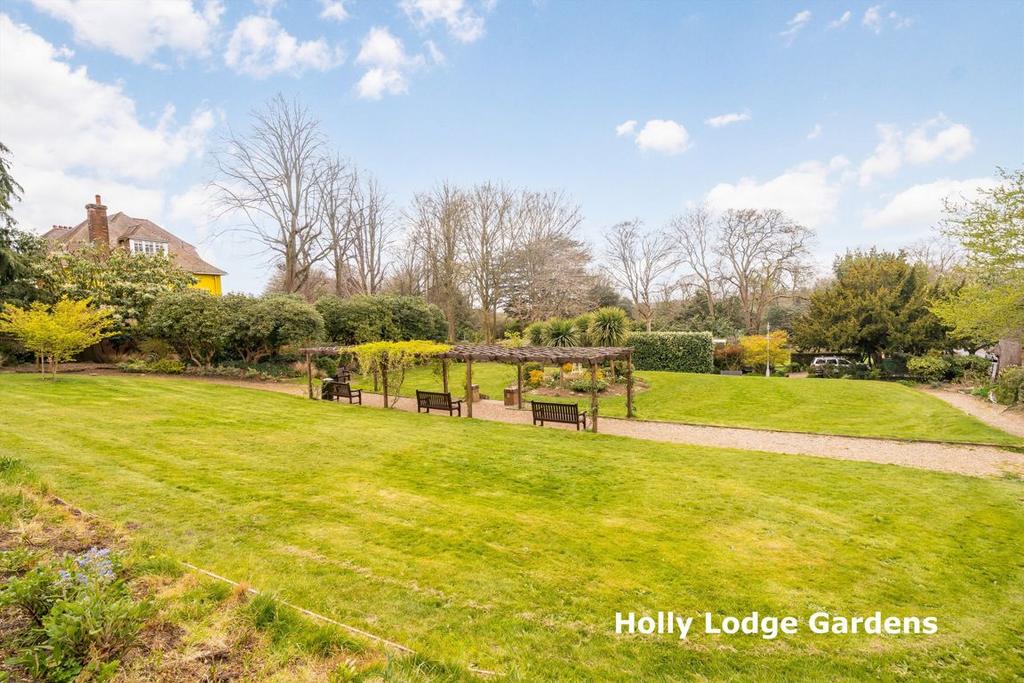 Garden view, garden
