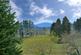 Additional image 46 of Bynach, Inchmarlo, Banchory, Aberdeenshire, AB31