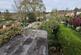 Additional image 8 of Corbridge Avenue, Great Barr, Birmingham, B44 9UQ