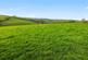 Trewidland, Cornwall PL14