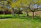 Additional image 24 of Shobrooke, Crediton, Devon