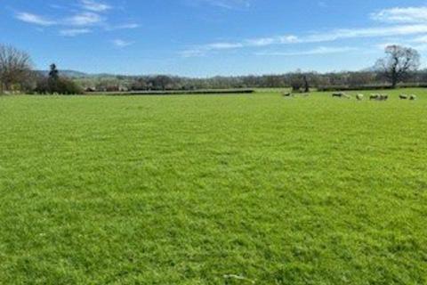 Land to rent, Land At Llwyn Y Crwth, Berriew, Welshpool, Powys, SY21