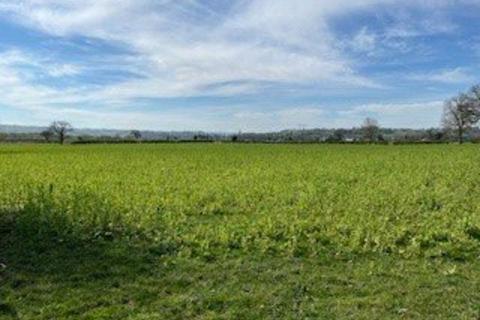 Land to rent, Land At Llwyn Y Crwth, Berriew, Welshpool, Powys, SY21
