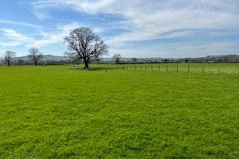 Land to rent, Land At Llwyn Y Crwth, Berriew, Welshpool, Powys, SY21