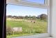 Additional image 11 of Old Bramshott Chase, Hindhead GU26