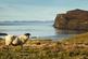 Additional image 33 of Carters Rest, 8 Upper Milovaig, Glendale, Isle of Skye, IV55