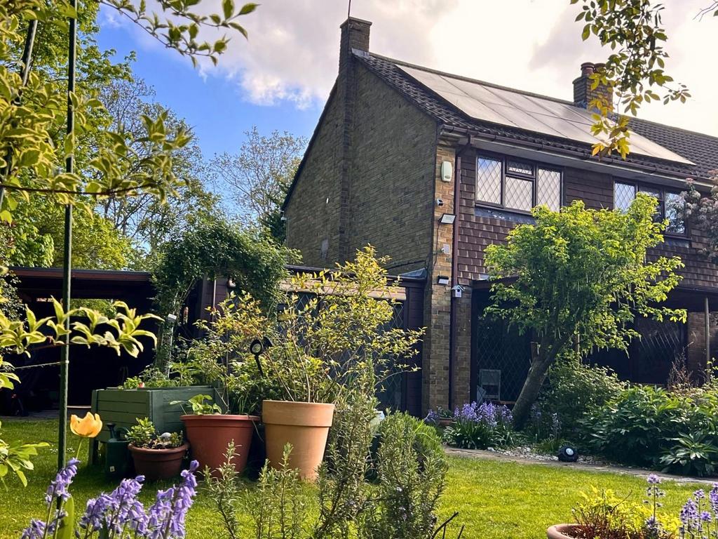 House exterior, garden