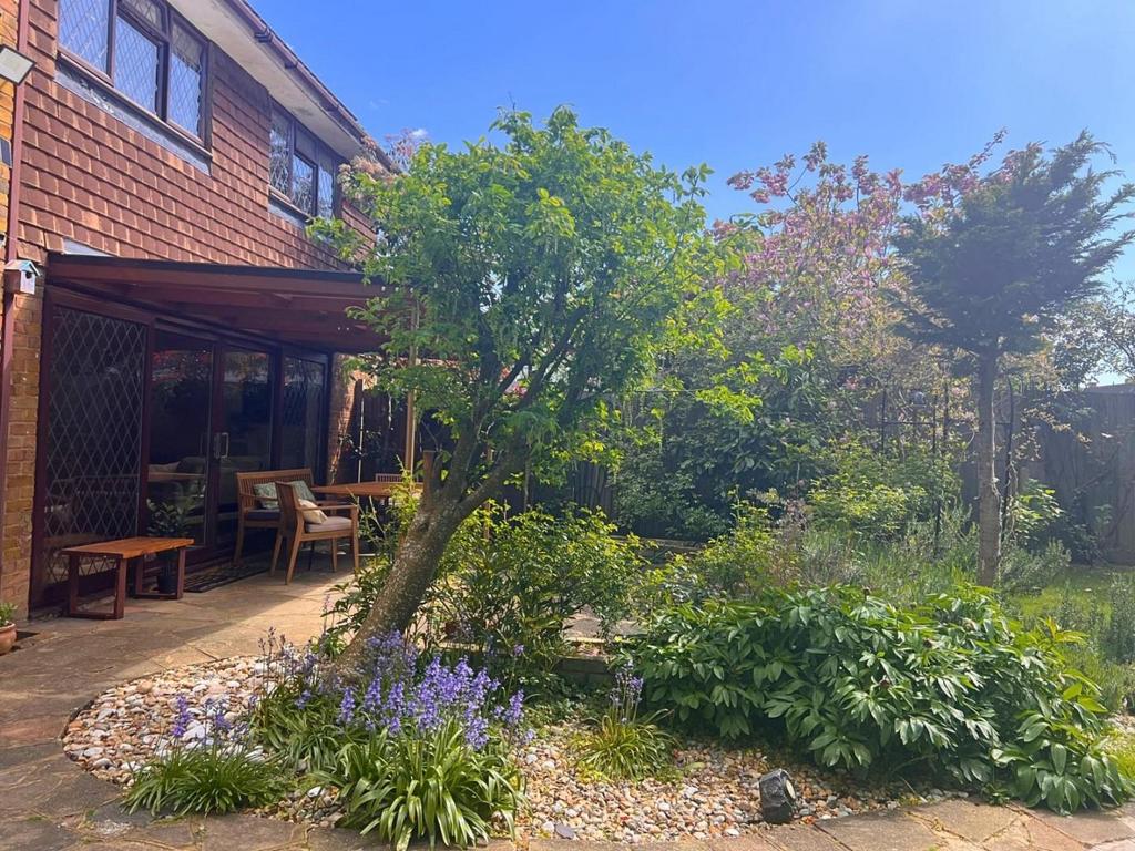 Garden view, garden