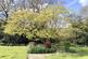 Additional image 9 of Rowans Park, Lymington, Hampshire, SO41