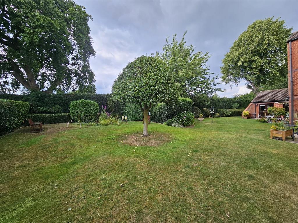 Garden view, garden