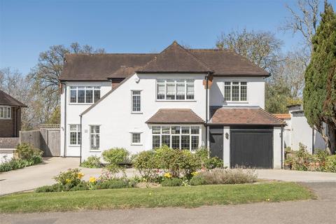 Burgh Wood, Banstead