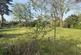 Additional image 3 of Plot at 2 Crow Hall Farm Cottage, Nightingale Lane, Downham Market, Norfolk PE38 9FD