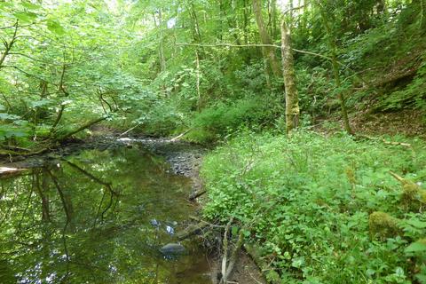 Woodland for sale, Balwil Wood, Buchlyvie, Stirlingshire FK8