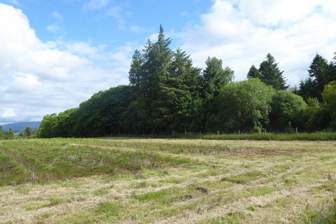 Woodland for sale, Balwil Wood, Buchlyvie, Stirlingshire FK8
