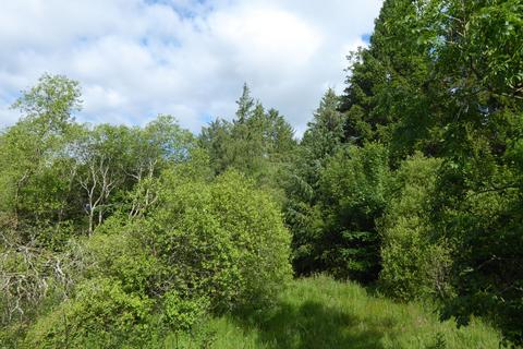 Woodland for sale, Balwil Wood, Buchlyvie, Stirlingshire FK8