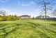 Norwich Common, Wymondham
