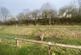 Additional image 18 of Northolme Road, Church Fields, New Hartley, Whitley Bay