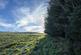 Additional image 9 of Coed Nant Y Beiglo (about 4 and a third acres), Llanfyllin, Powys SY22