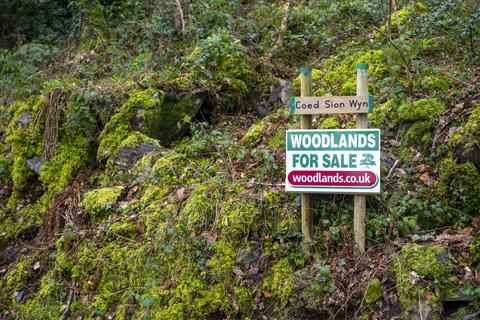 Woodland for sale, Coed Sion Wyn (about 5 and a half acres), Llanfihangel-y-Traethau, Harlech, Gwynedd LL46