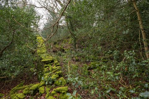 Woodland for sale, Coed Sion Wyn (about 5 and a half acres), Llanfihangel-y-Traethau, Harlech, Gwynedd LL46