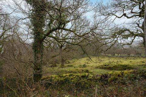 Woodland for sale, Coed Sion Wyn (about 5 and a half acres), Llanfihangel-y-Traethau, Harlech, Gwynedd LL46