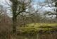 Additional image 3 of Coed Sion Wyn (about 5 and a half acres), Llanfihangel-y-Traethau, Harlech, Gwynedd LL46