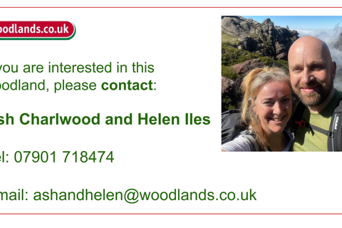 Woodland for sale, Coed Sion Wyn (about 5 and a half acres), Llanfihangel-y-Traethau, Harlech, Gwynedd LL46