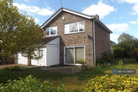 3 bedroom detached house to rent, Swenson Avenue, Nottingham, NG7