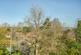 Additional image 13 of Dartford Road, Sevenoaks, Kent