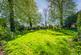 The Green, Allington photo 4