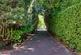 Byron Drive, London, N2 photo 2