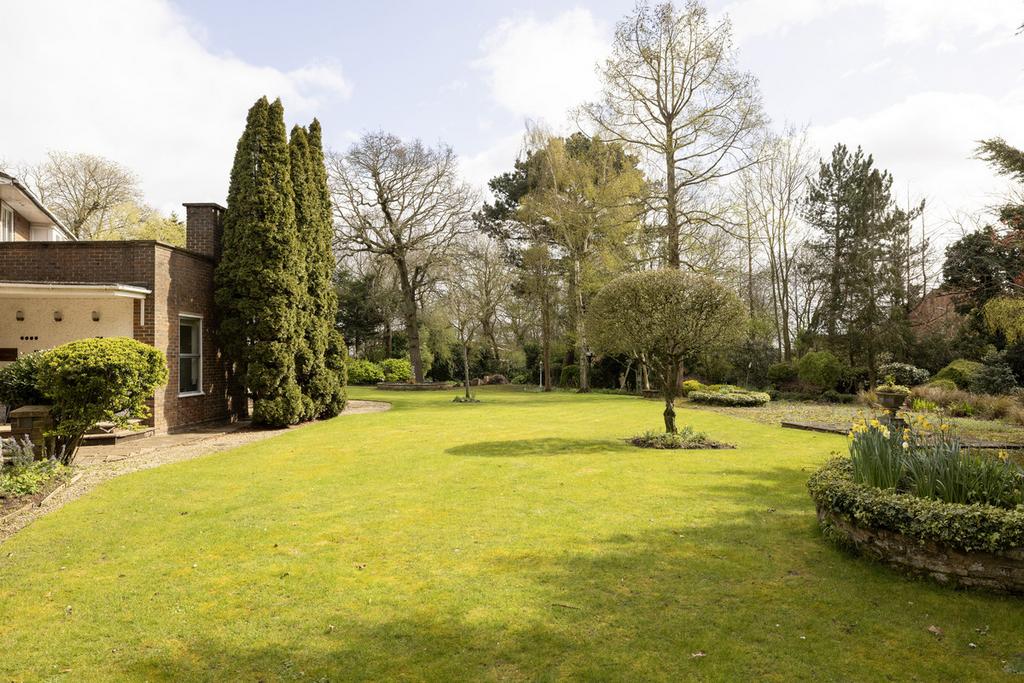 Garden view, garden