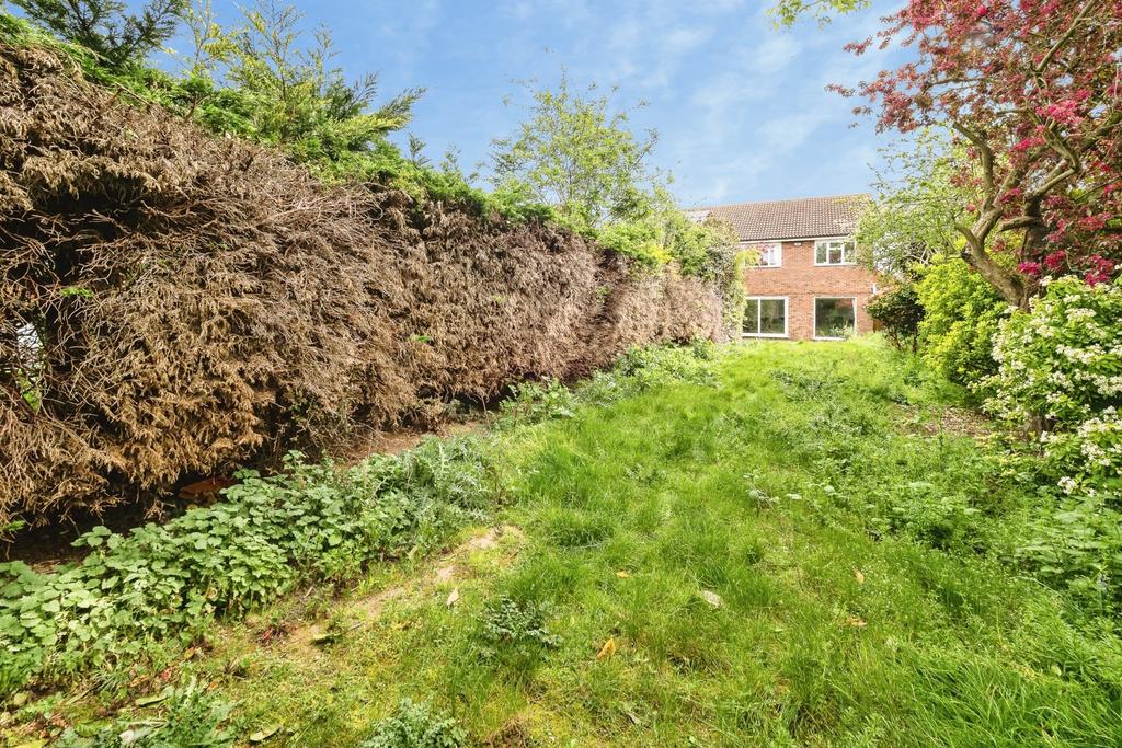 Garden view, garden