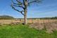 Additional image 3 of Boscombe Avenue, Wickford, Essex, SS12