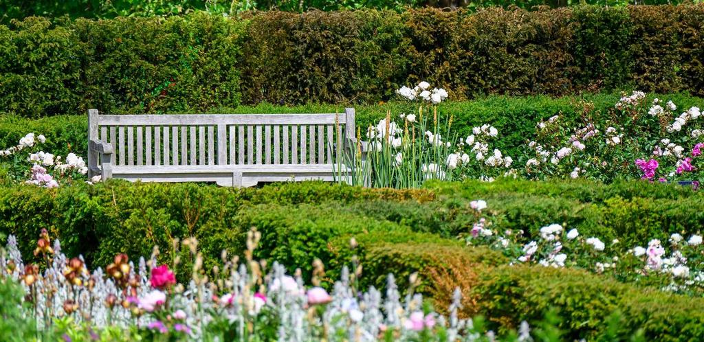 Garden view, garden