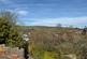 Additional image 21 of Smith Road, Stocksbridge, S36 1FG