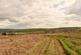 Additional image 25 of Llanboidy, SA34