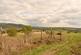 Additional image 27 of Llanboidy, SA34