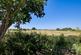 Additional image 18 of Montrose Gardens, Great Holland CO13