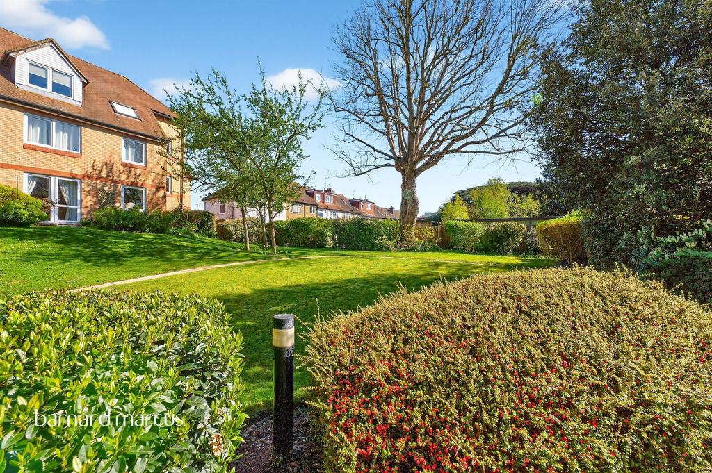 Garden view, garden