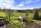 Additional image 18 of The Common, Dunsfold, Godalming, Surrey, GU8