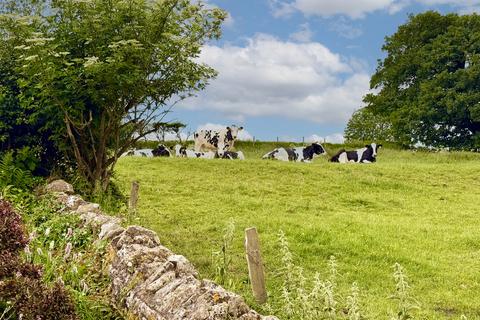 undefined, Lower Street, Chewton Mendip