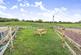 Additional image 17 of Kirton NOTTINGHAMSHIRE
