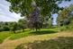 Sunny Hill, Bruton photo 2