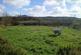 Additional image 16 of Kidwelly SA17