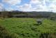 Additional image 34 of Kidwelly SA17