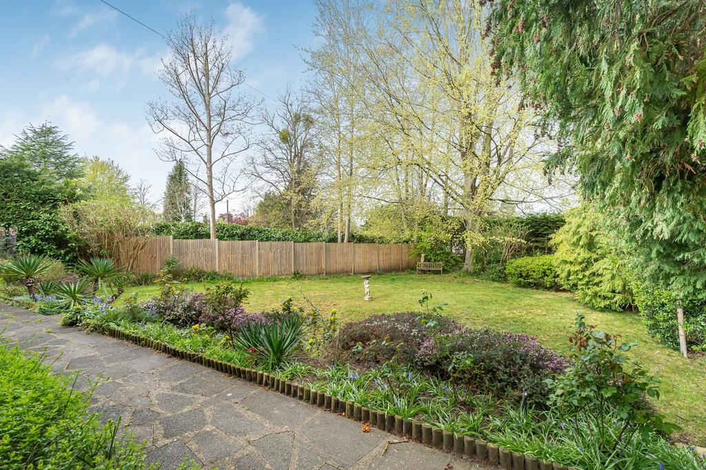 Garden view, garden