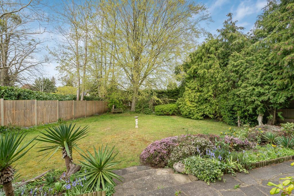 Garden view, garden