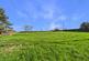 Additional image 29 of Pentre Madoc Farmhouse, Dudleston, Ellesmere